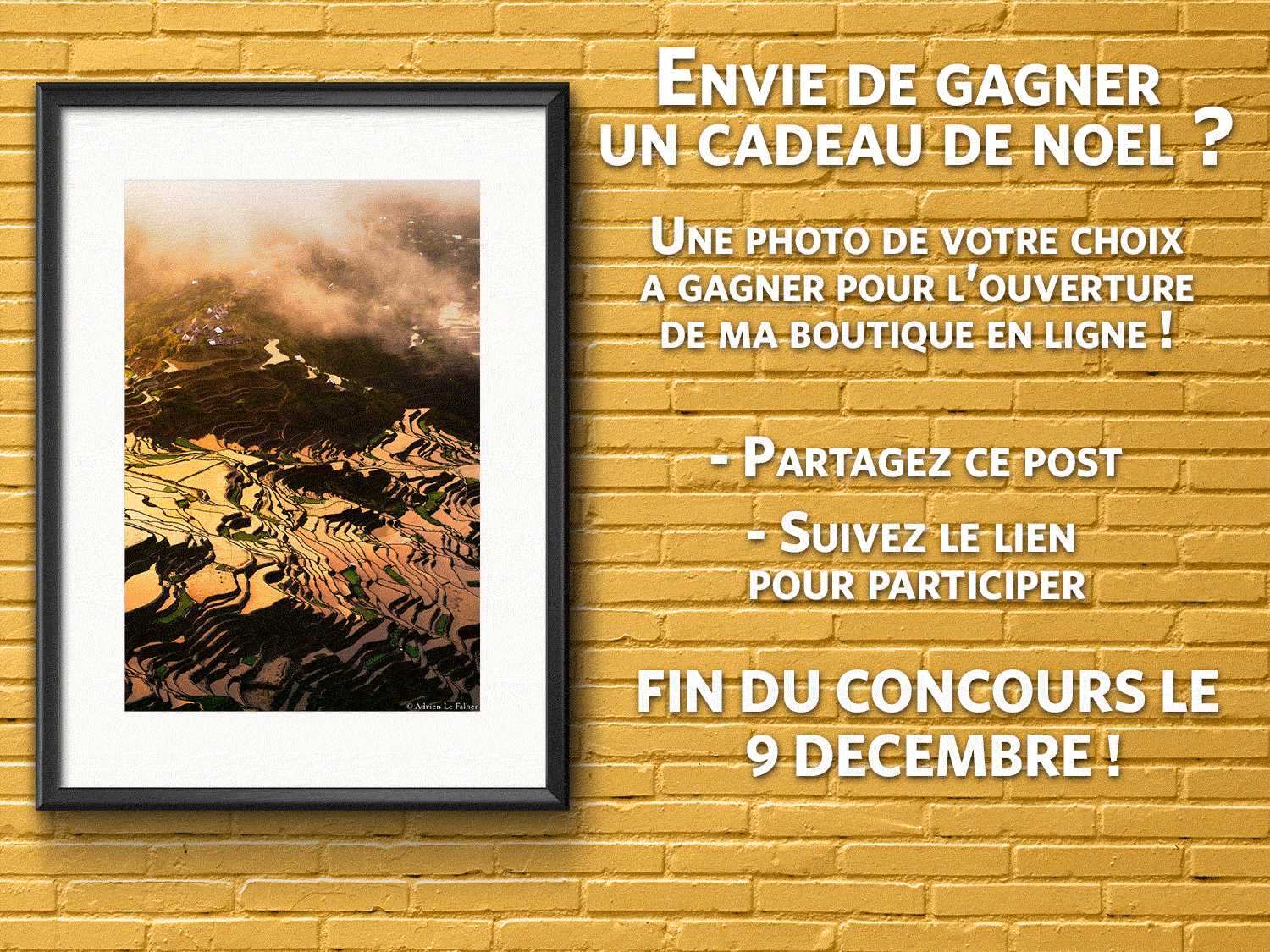 Partagez cette page et remplissez le formulaire ci-dessous.