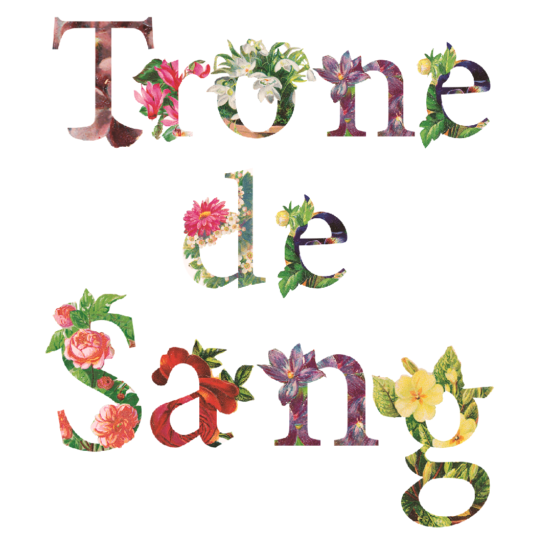 Jeu de Rôle - Trône de Sang