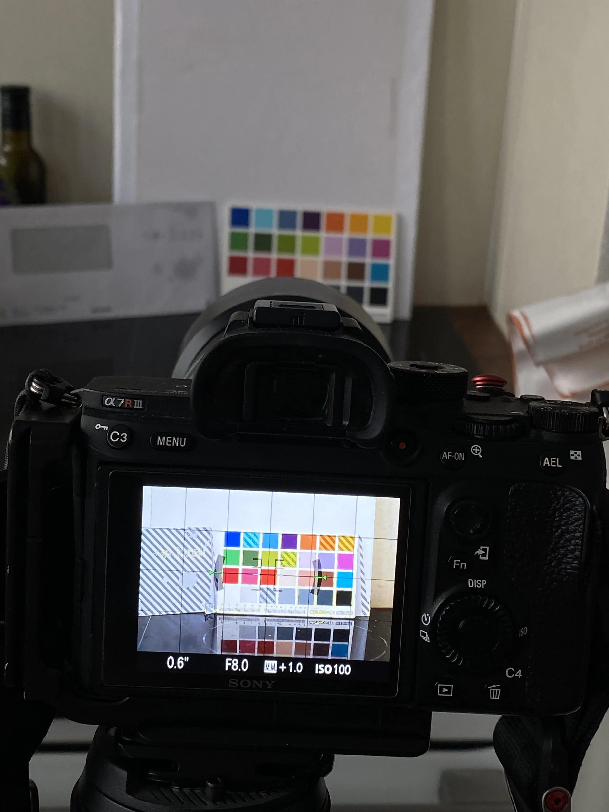 Le zebra, ce sont les rainures que l’on voit sur l’écran. Il indique les zones sur-exposées.