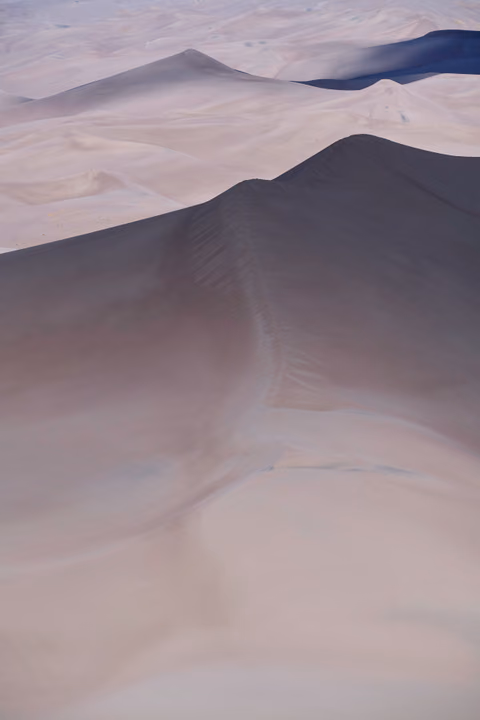 SANDS