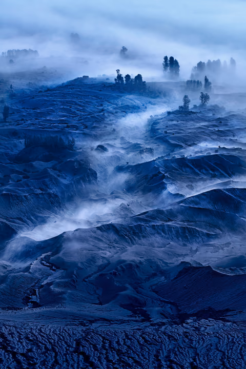 LANDSCAPES