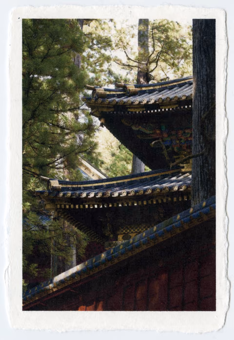 WOODPRINTS
