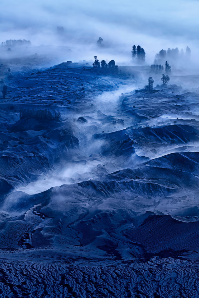 a foggy landscape with trees and fog
