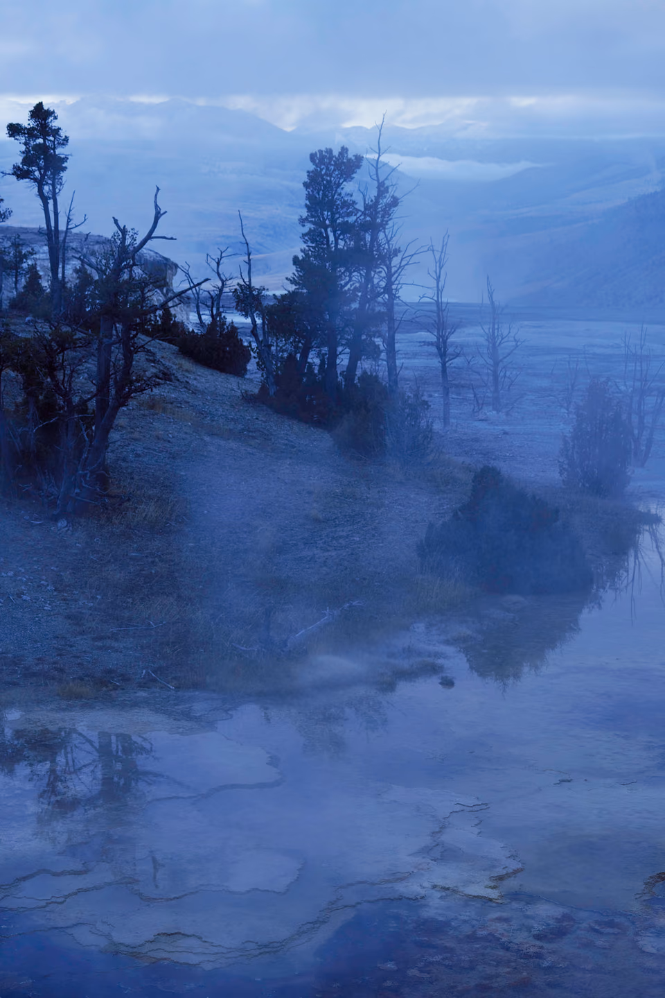 a foggy scene with a river and trees
