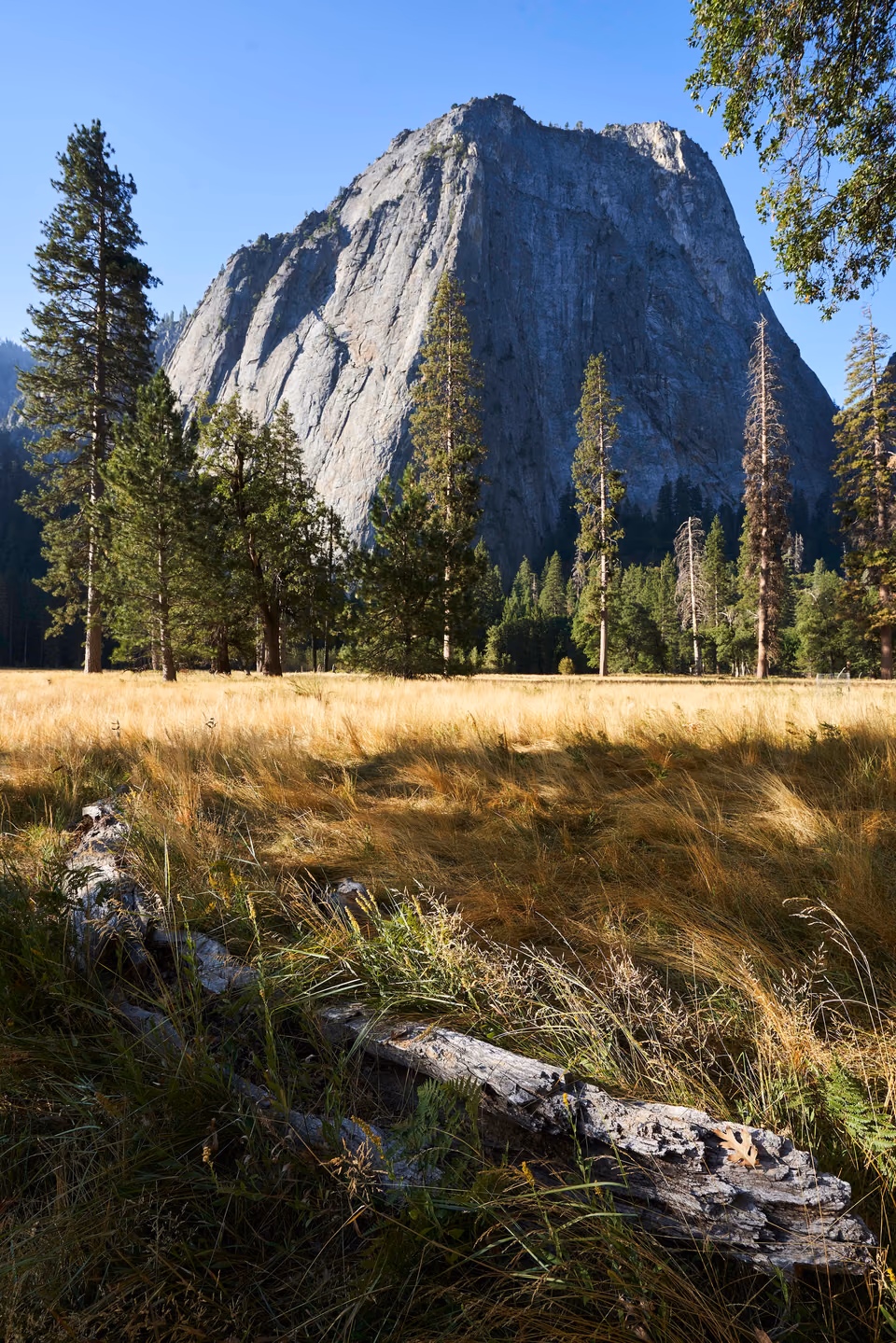 a large mountain in the distance
