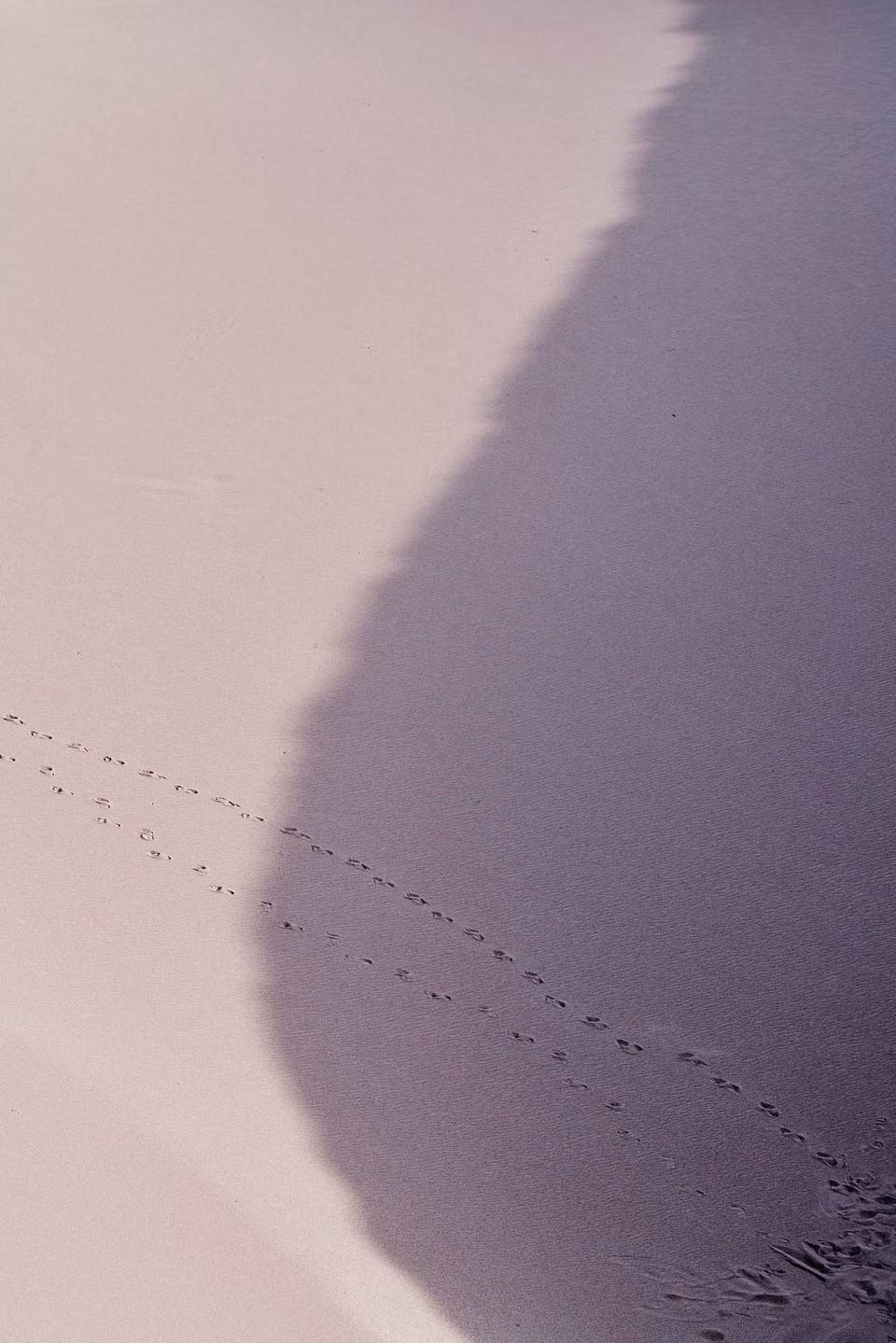 a person walking on the beach with footprints in the sand

