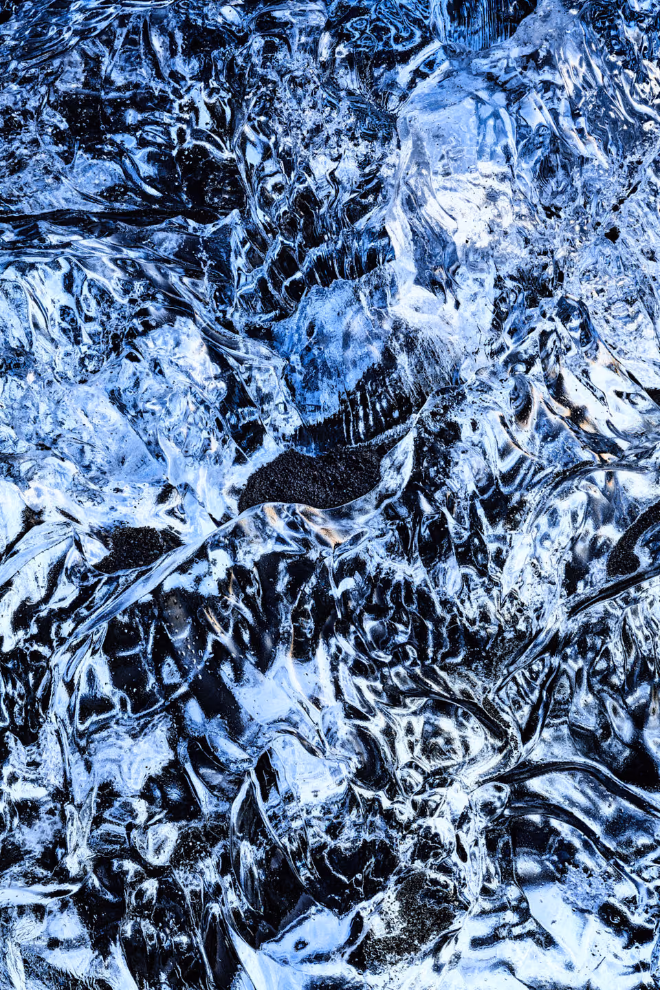ice on the surface of a pond
