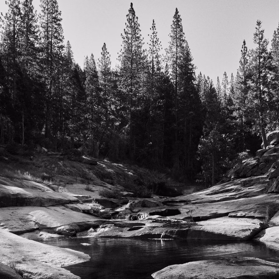 black and white photograph of a river in the woods
