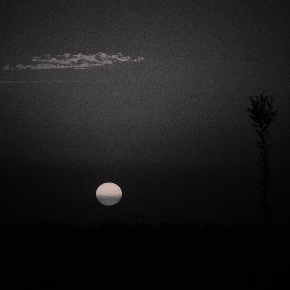 a black and white photo of a sunset

