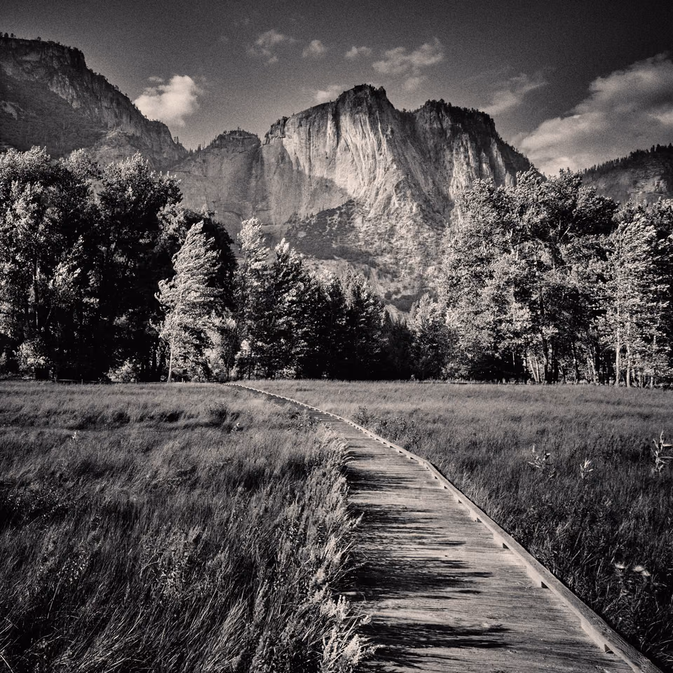 a black and white photo of a wooden path leading to a mountain
