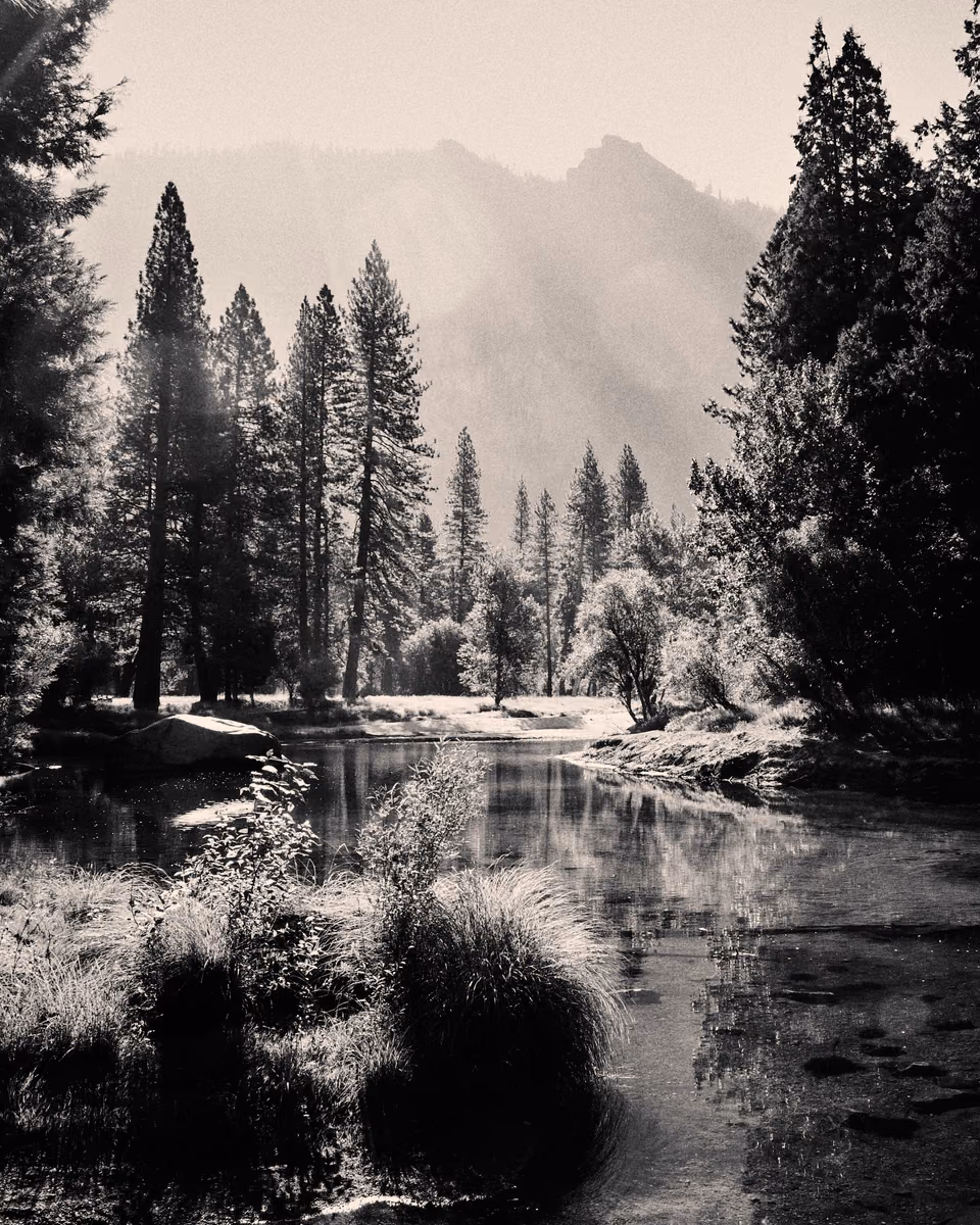 a black and white photo of a river and trees
