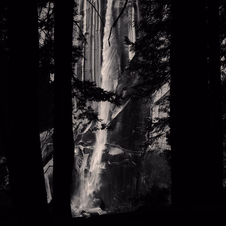 black and white photograph of waterfall in the woods
