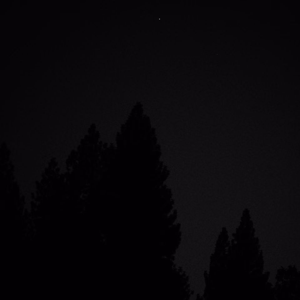 a black and white photo of a tree and a moon
