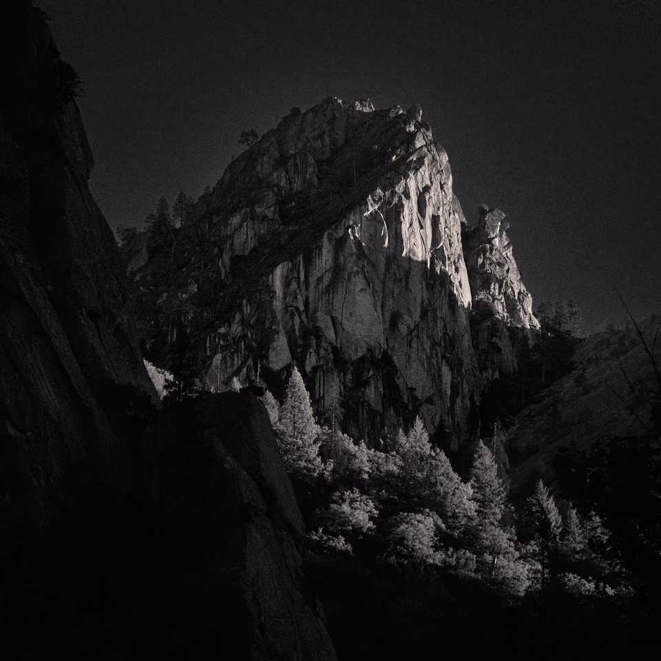 black and white photo of a mountain with trees
