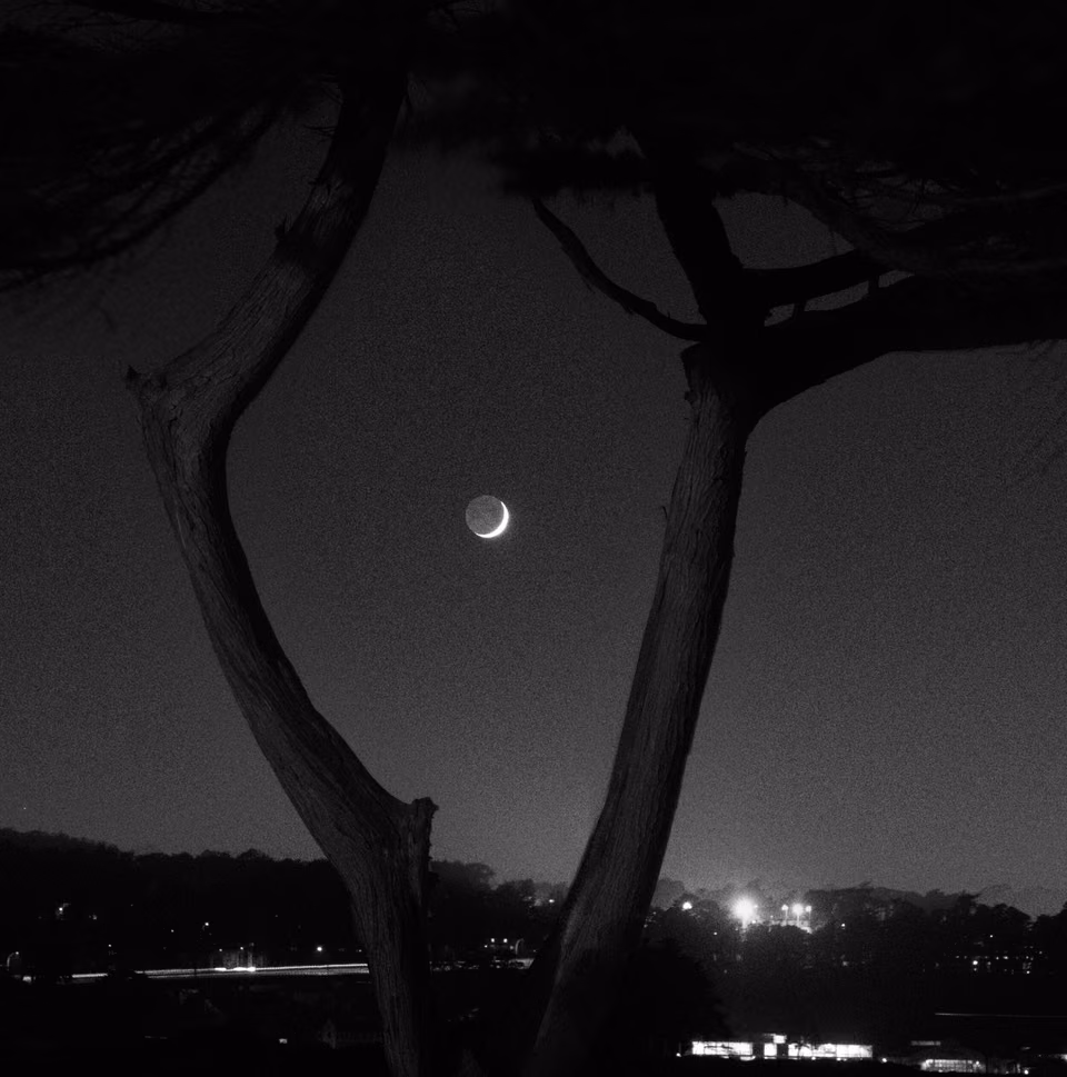 a black and white photo of the moon over a tree
