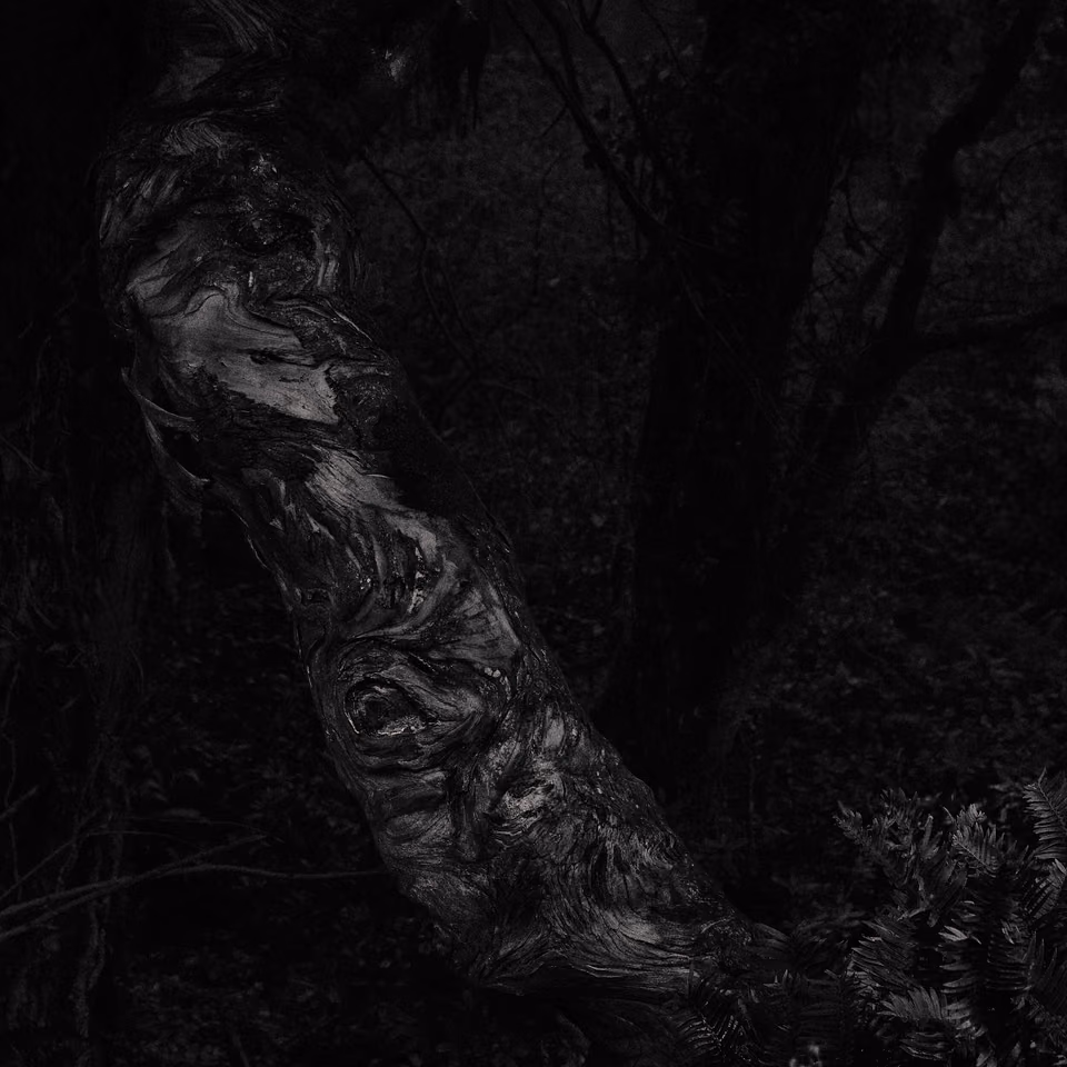 a black and white photo of a tree with a face
