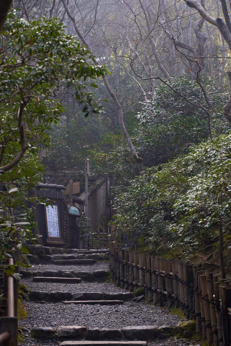 a person walking down a path in the woods
