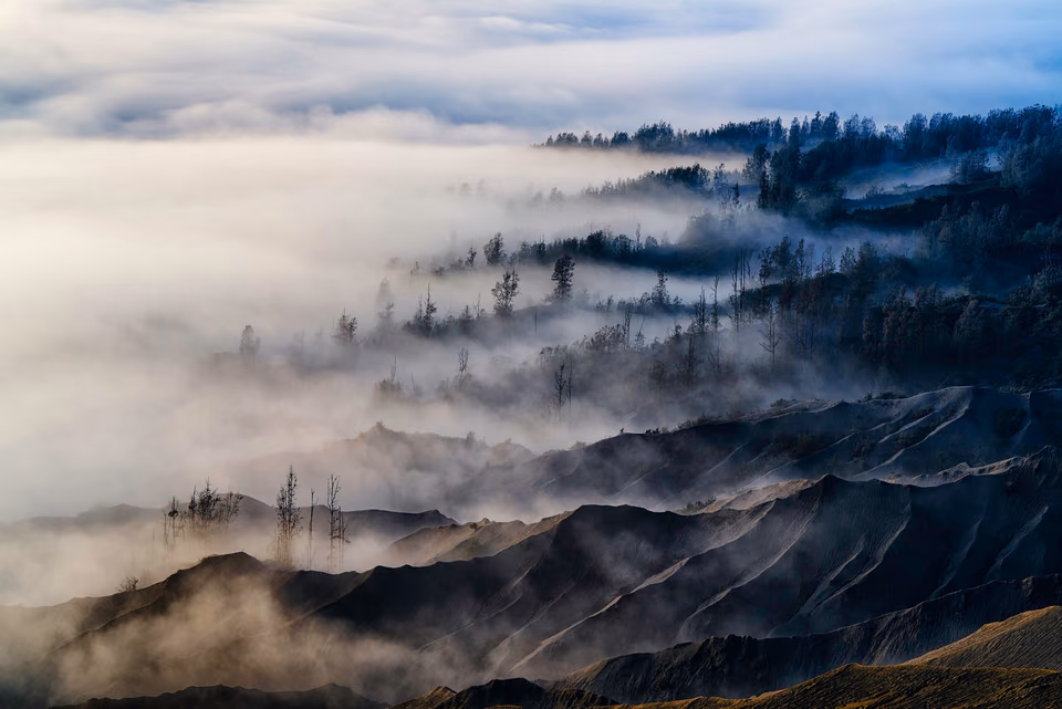 a mountain covered in fog and trees
