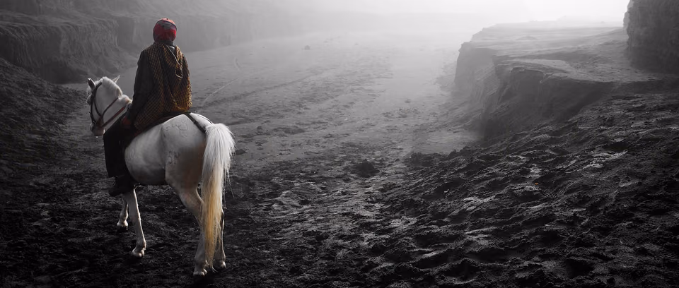 a man riding a horse through a foggy landscape
