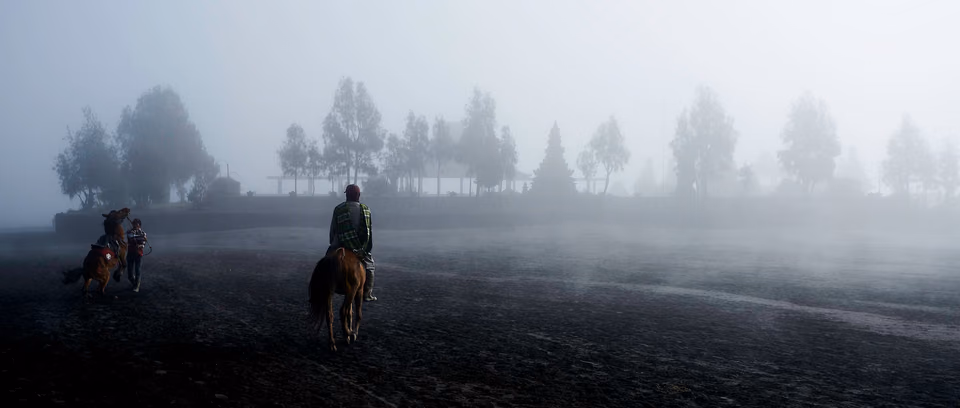 two people riding horses in the fog

