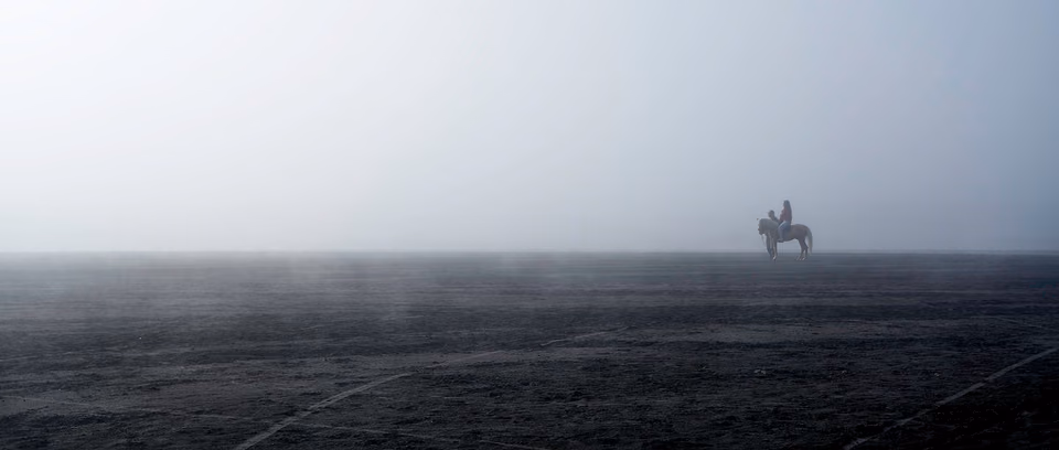 a person riding a horse in the fog
