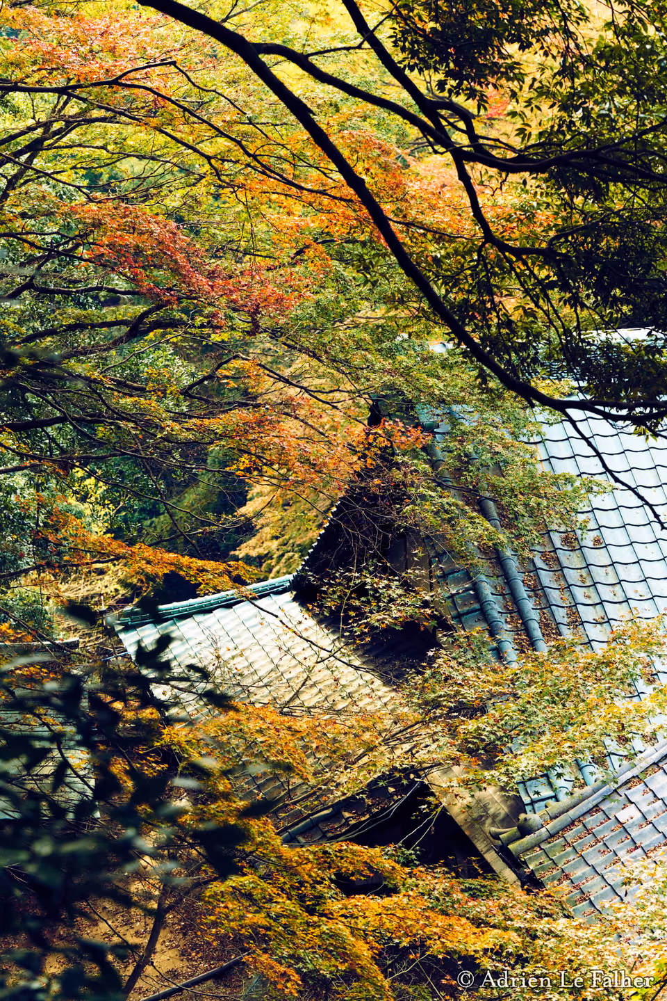 a building with a roof and a tree in the background
