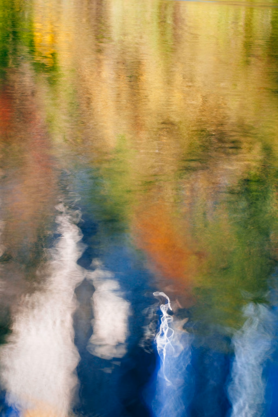 a reflection of a tree in the water
