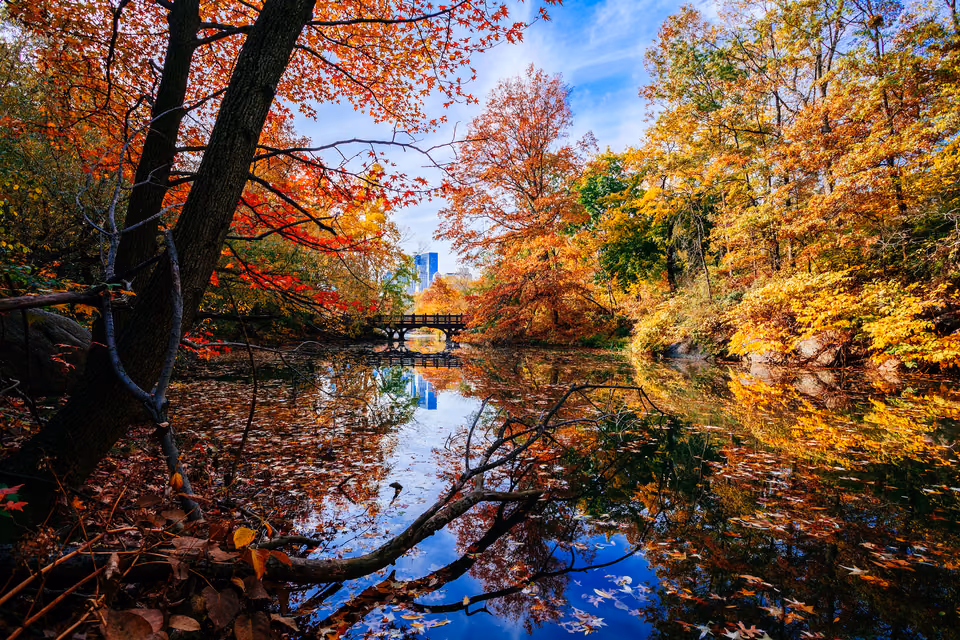 a body of water
