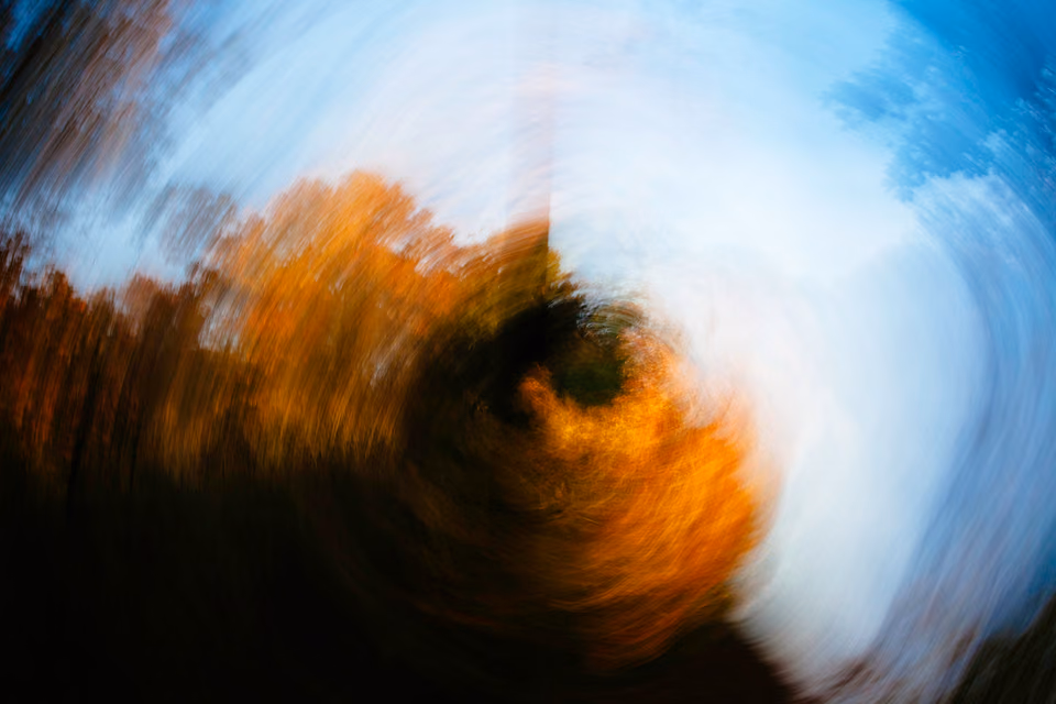a blurry image of a tree in the woods
