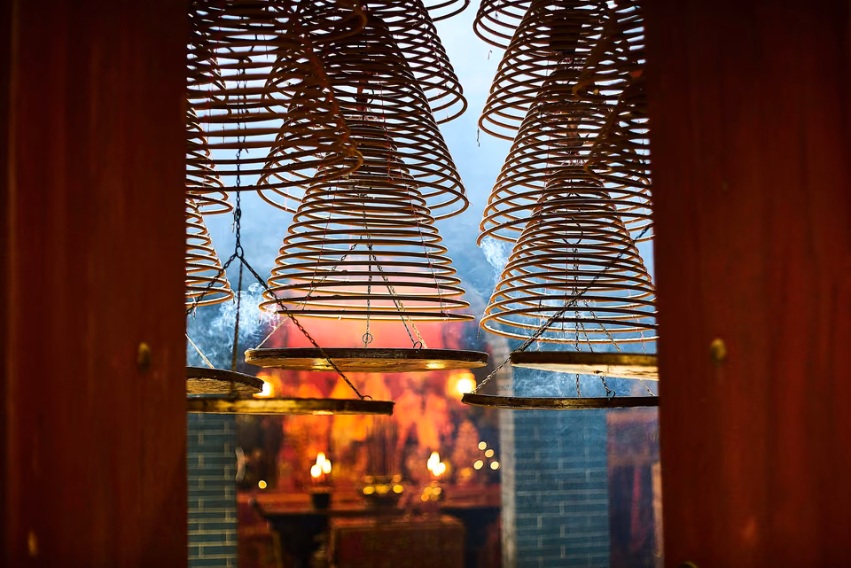 a bunch of metal spirals hanging from a window

