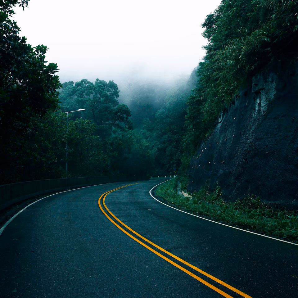 a road with trees on both sides of it
