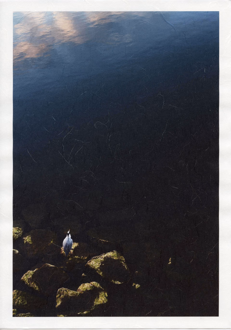 a bird is sitting on the rocks in the water
