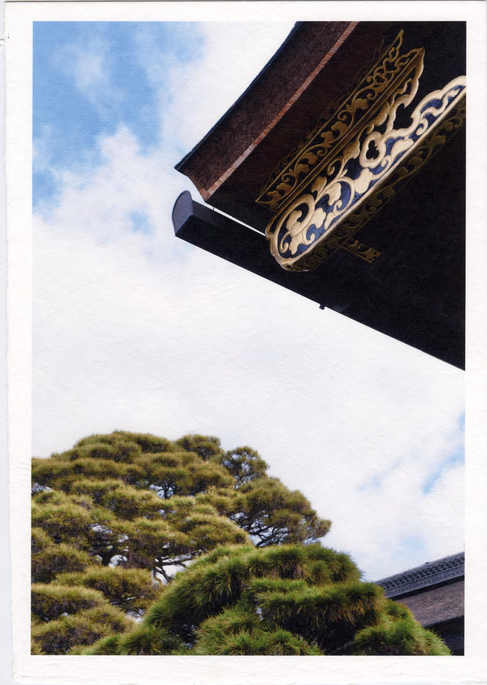 a bird flying over a building with a clock on it
