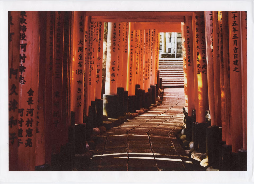 a path with red tori gates leading to a temple
