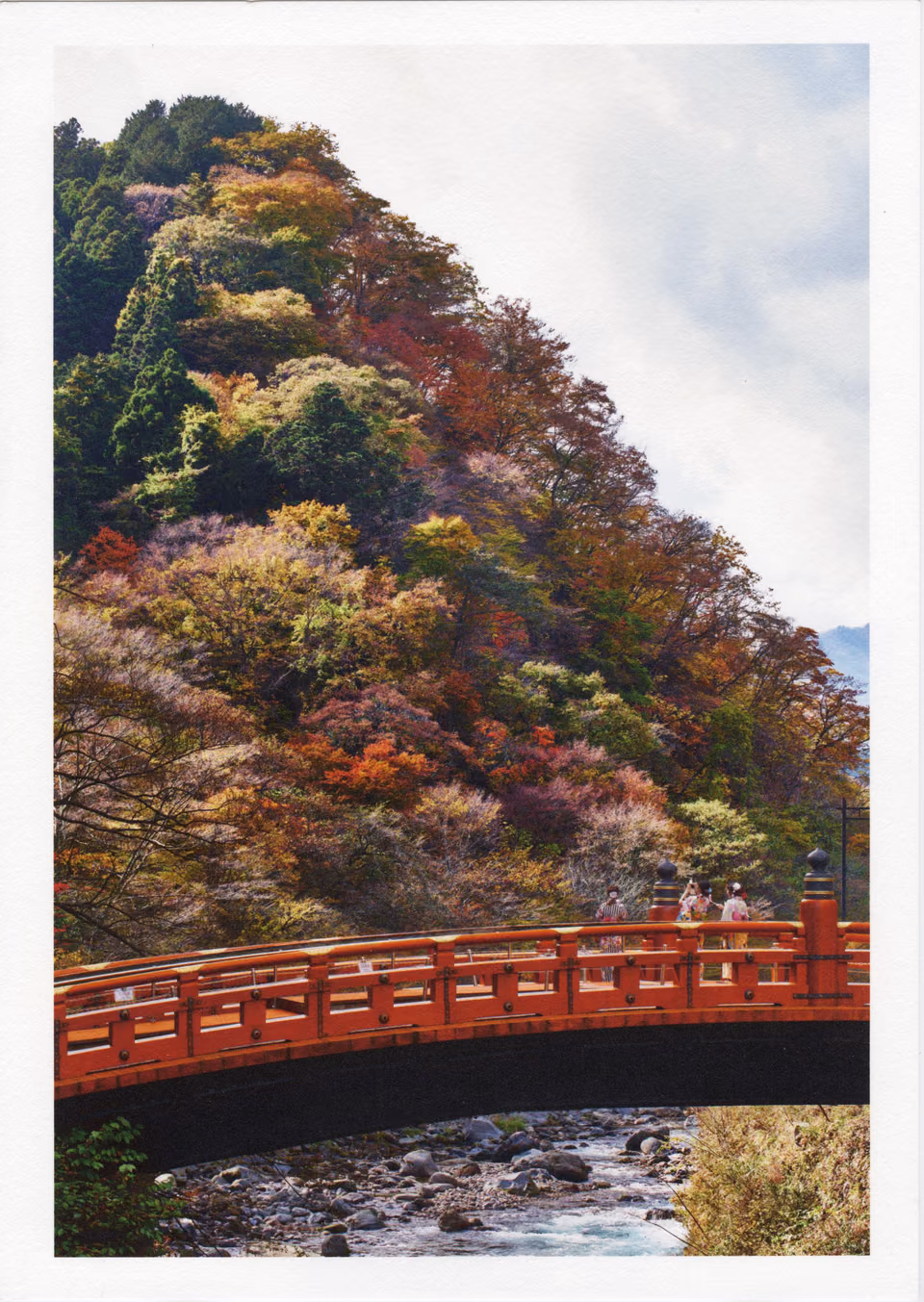 a bridge over a river with colorful trees
