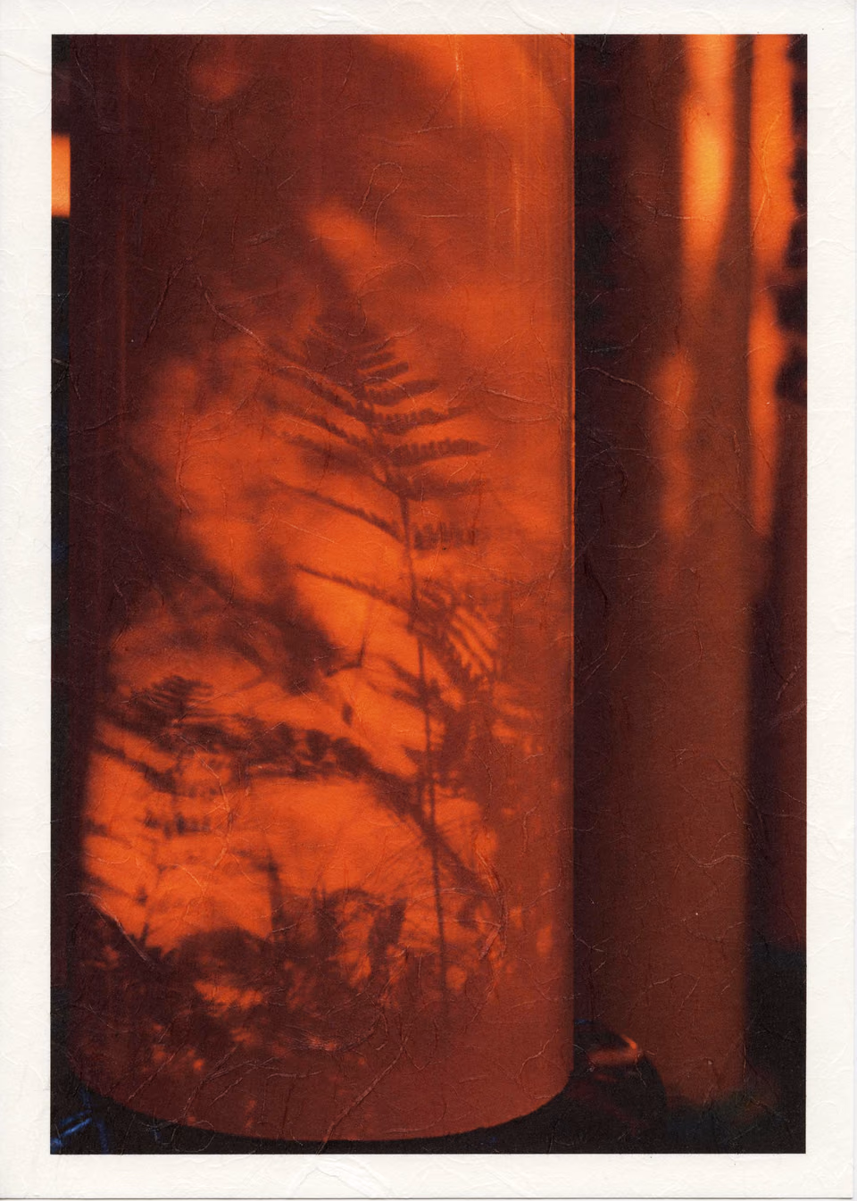 a red and white vase with a shadow of a plant
