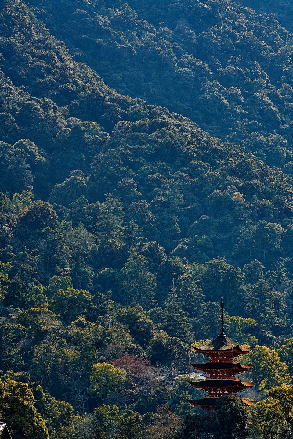 a large building with a pagoda on top of it

