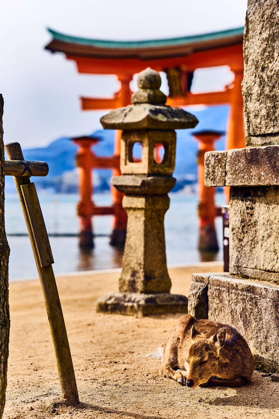 a cat laying on the ground next to a stone structure

