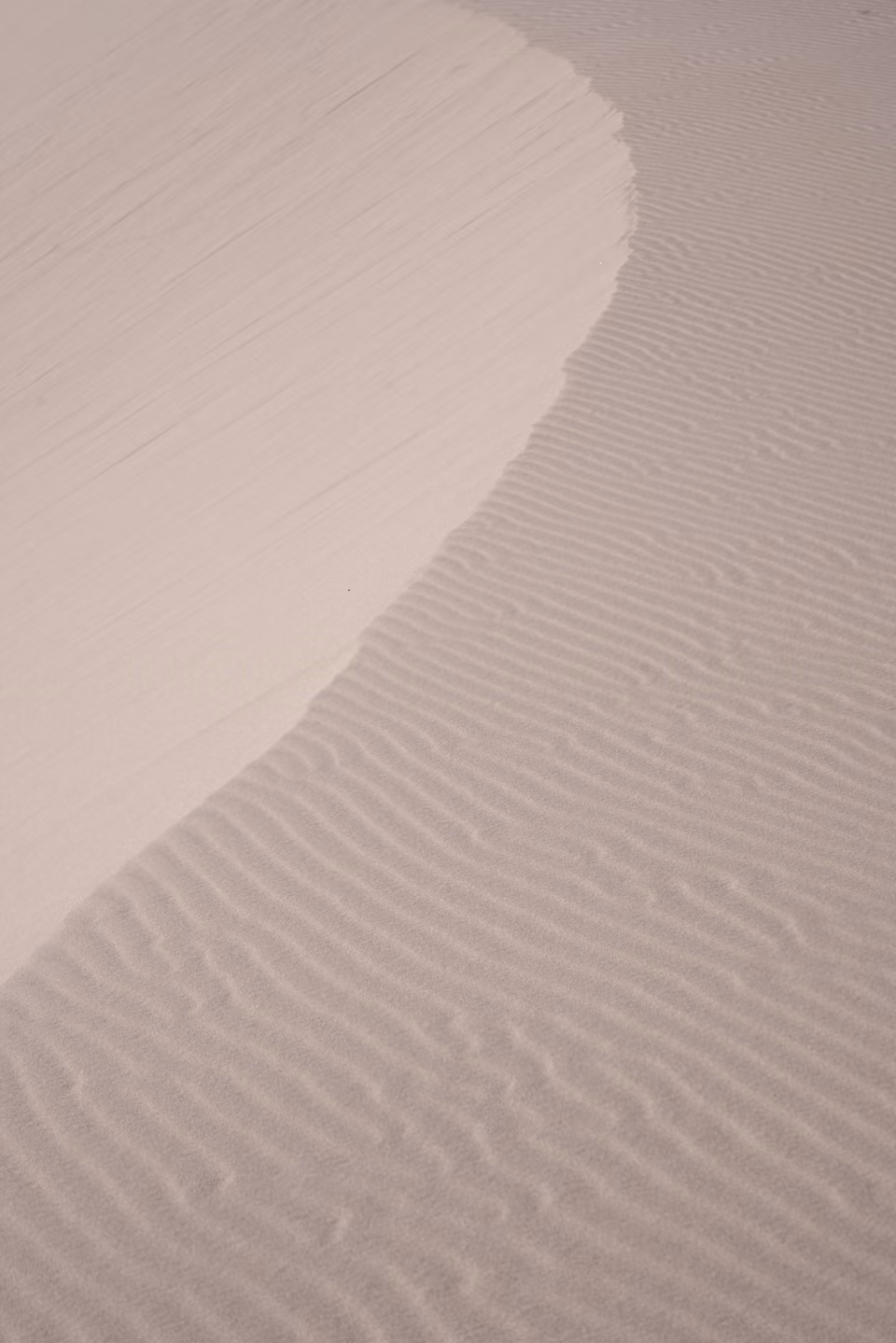 a person walking through a sand dune
