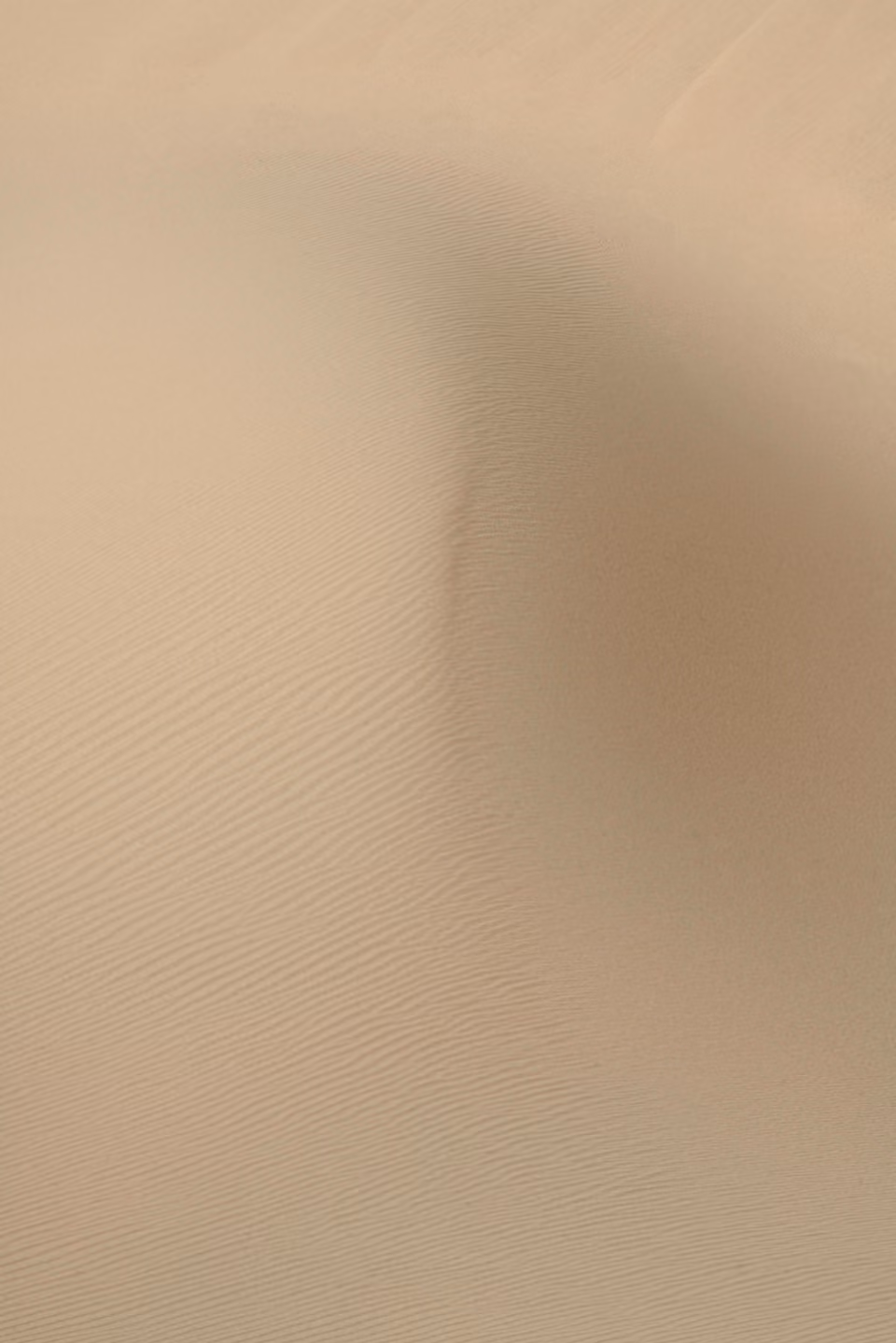 a person walking on top of a sand dune
